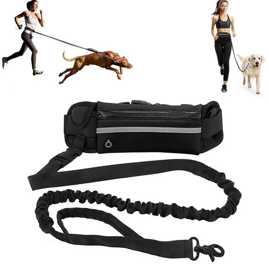 Sport Hands Free Leash (Pouch Included)