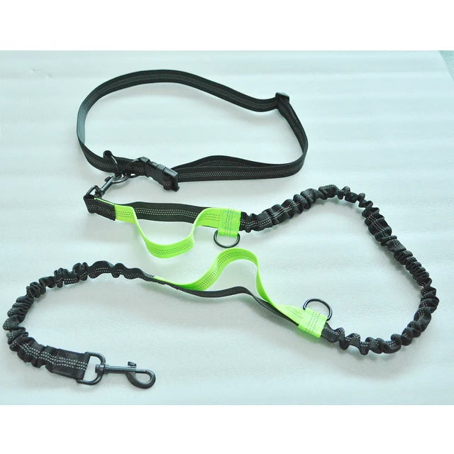 Sport Hands Free Leash