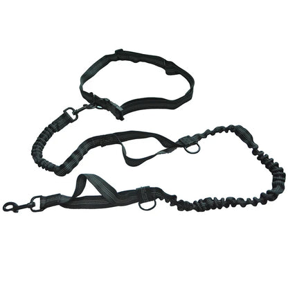 Sport Hands Free Leash